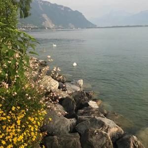 Meet your Posher, Lourdes